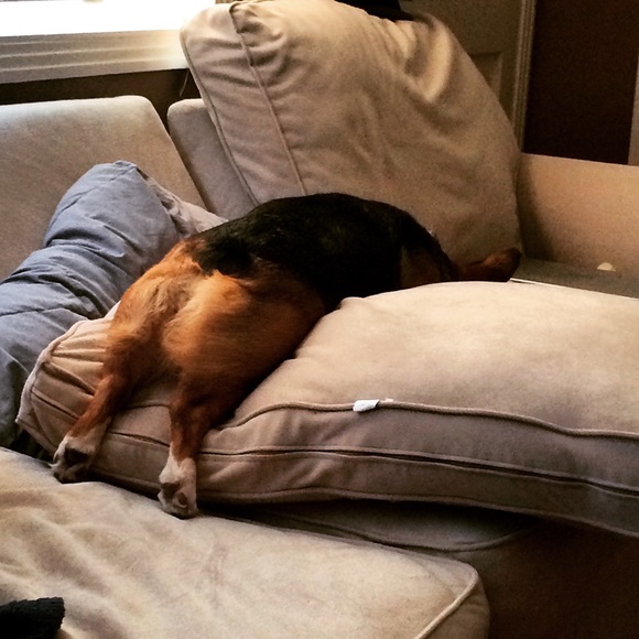 Meet your Posher, Tiffany - Picture 4 of 4